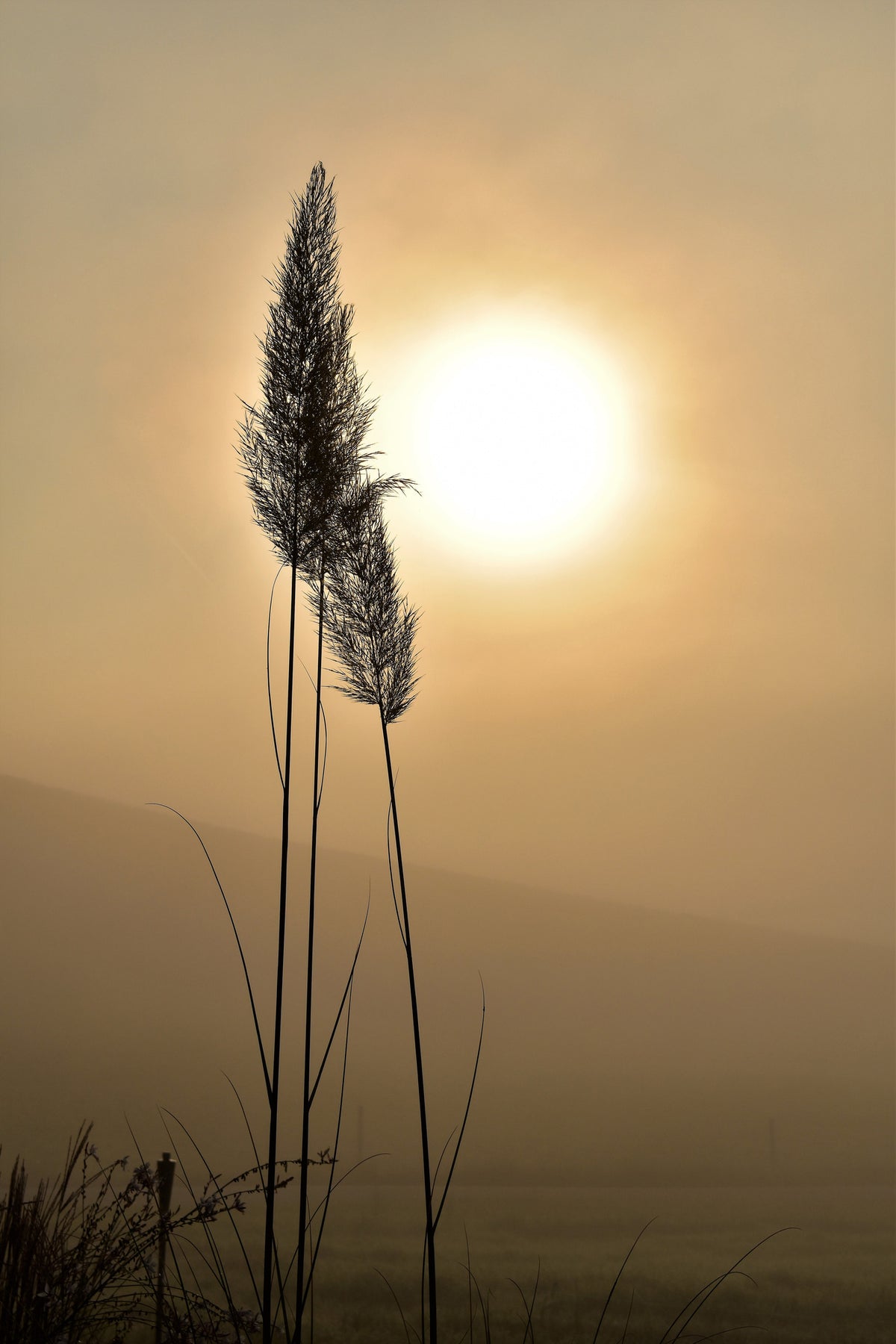 acrylic-print-atmospheric