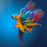 aluminium-print-flying-colours