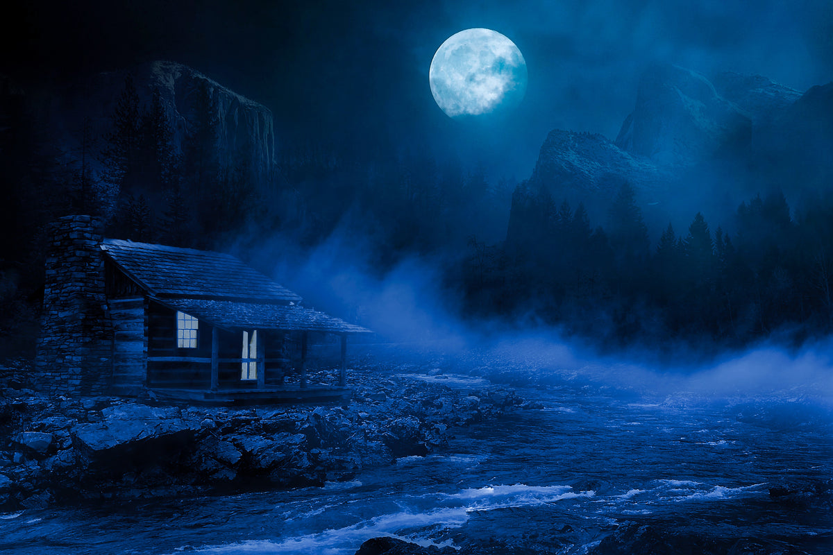 aluminium-print-at-night-in-the-woods
