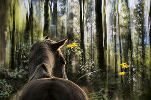 modern-3-piece-canvas-print-sound-are-forest
