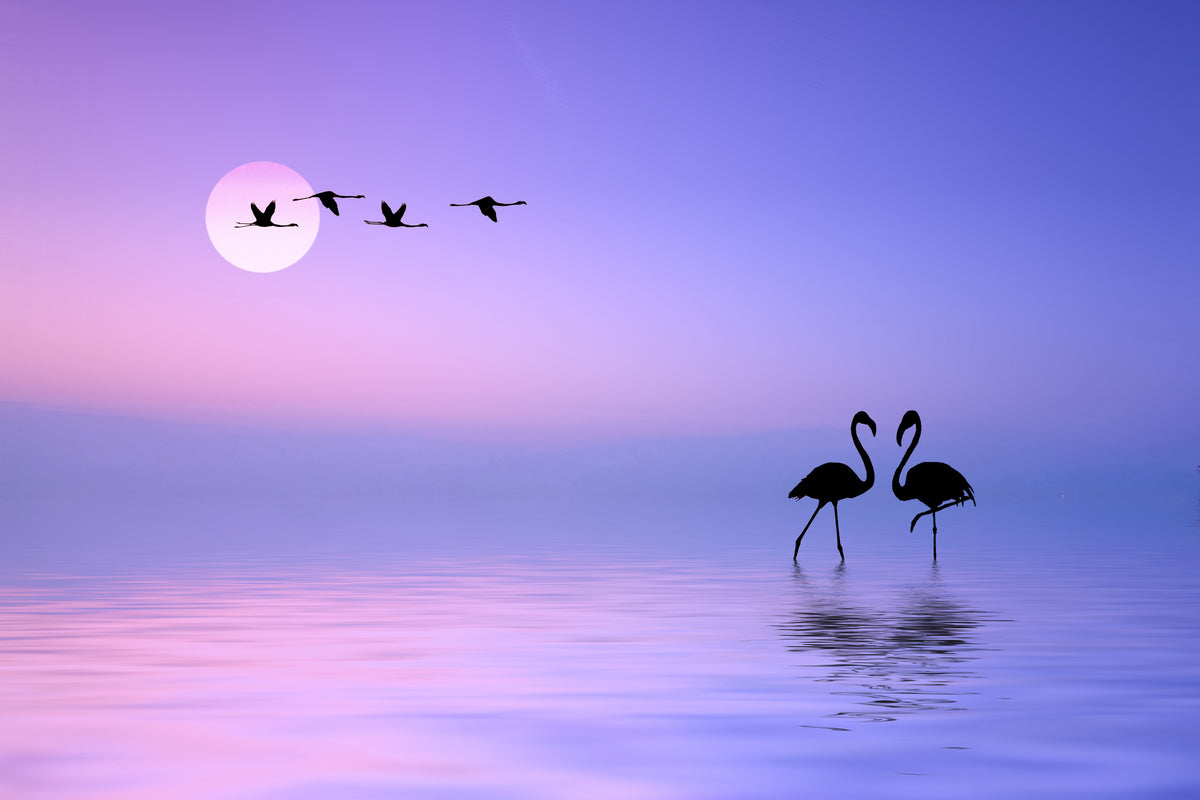 aluminium-print-flying-flamingo-x