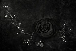 acrylic-print-rose-noire
