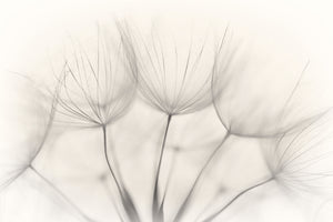 3-piece-canvas-print-no-title