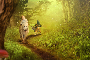 framedposter-print-forest-excursion
