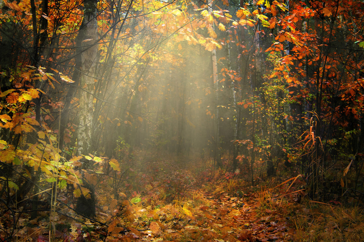 framedposter-print-we-love-autumn