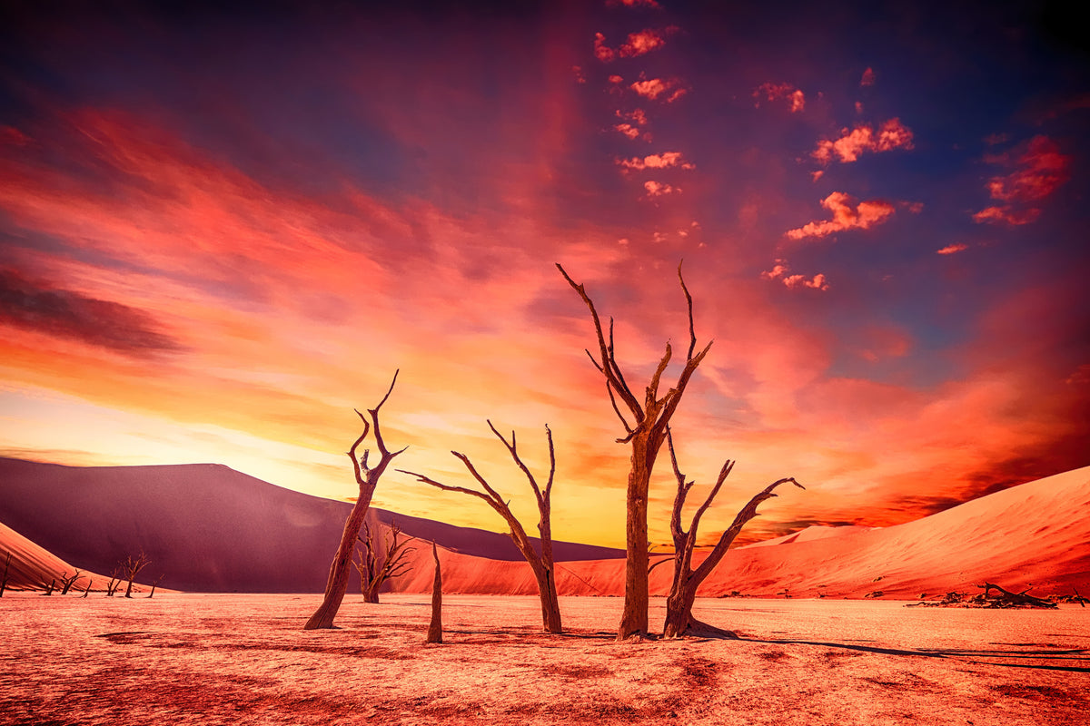 3-piece-aluminium-print-colorful-desert