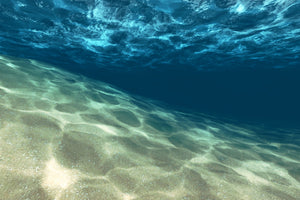 aluminium-print-under-the-water