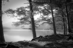3-piece-canvas-print-loch-an-eilein