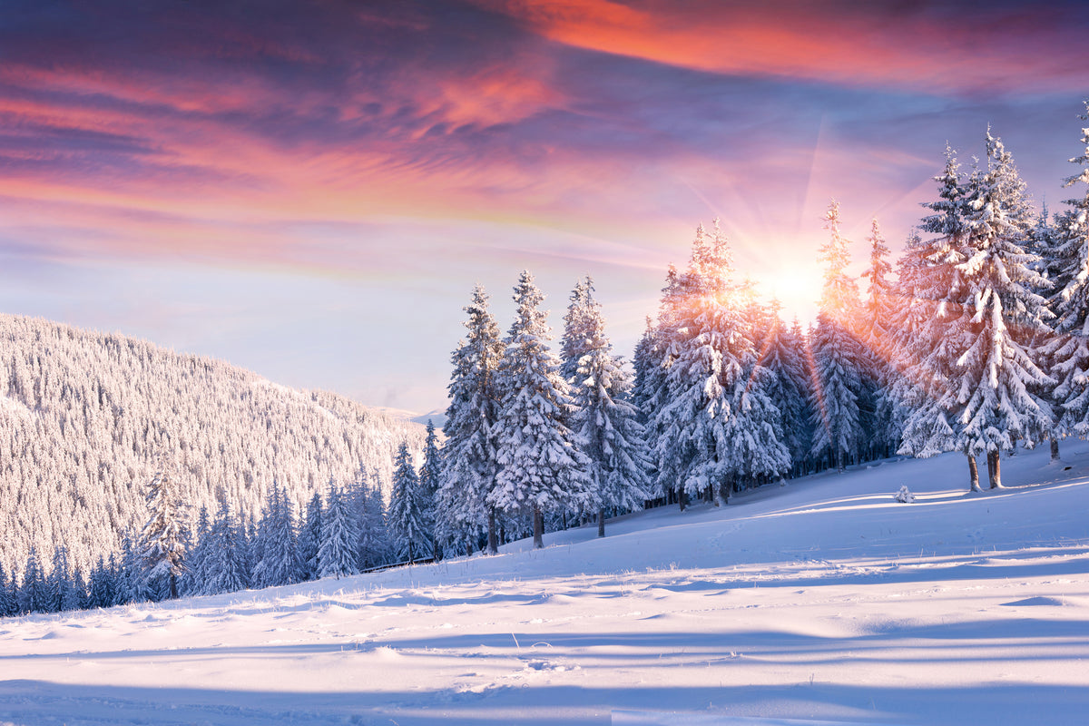 3-piece-aluminium-print-winter-landscape