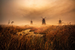 canvas-print-a-fascinating-morning-x