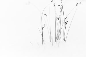 modern-3-piece-aluminium-print-black-on-white