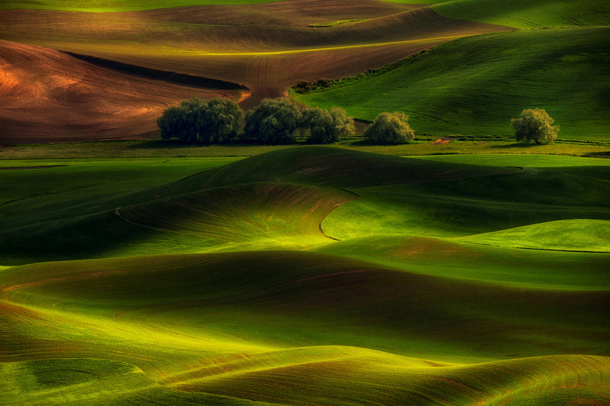 modern-3-piece-acrylic-print-spring-in-the-palouse