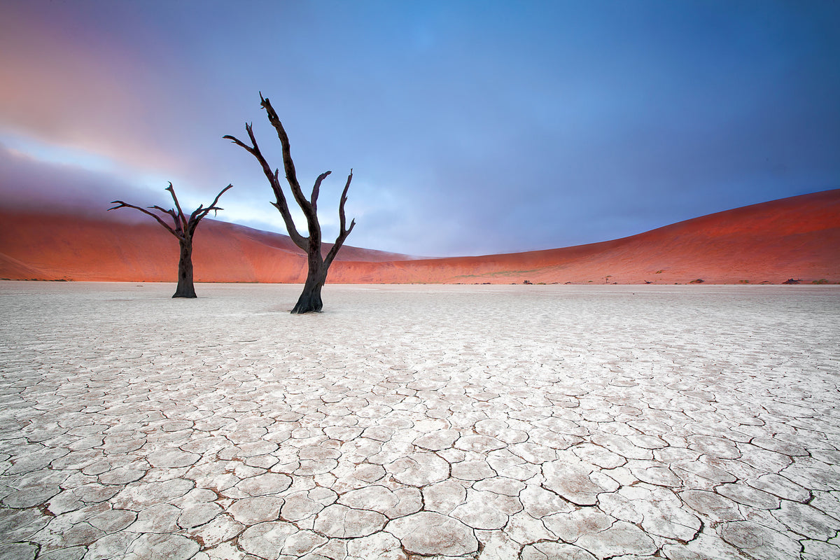 acrylic-print-mist-over-deadvlei-x