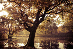 modern-3-piece-aluminium-print-landscape-park