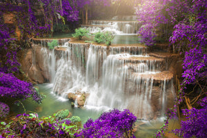 acrylic-print-photowallpaper-garden-eden