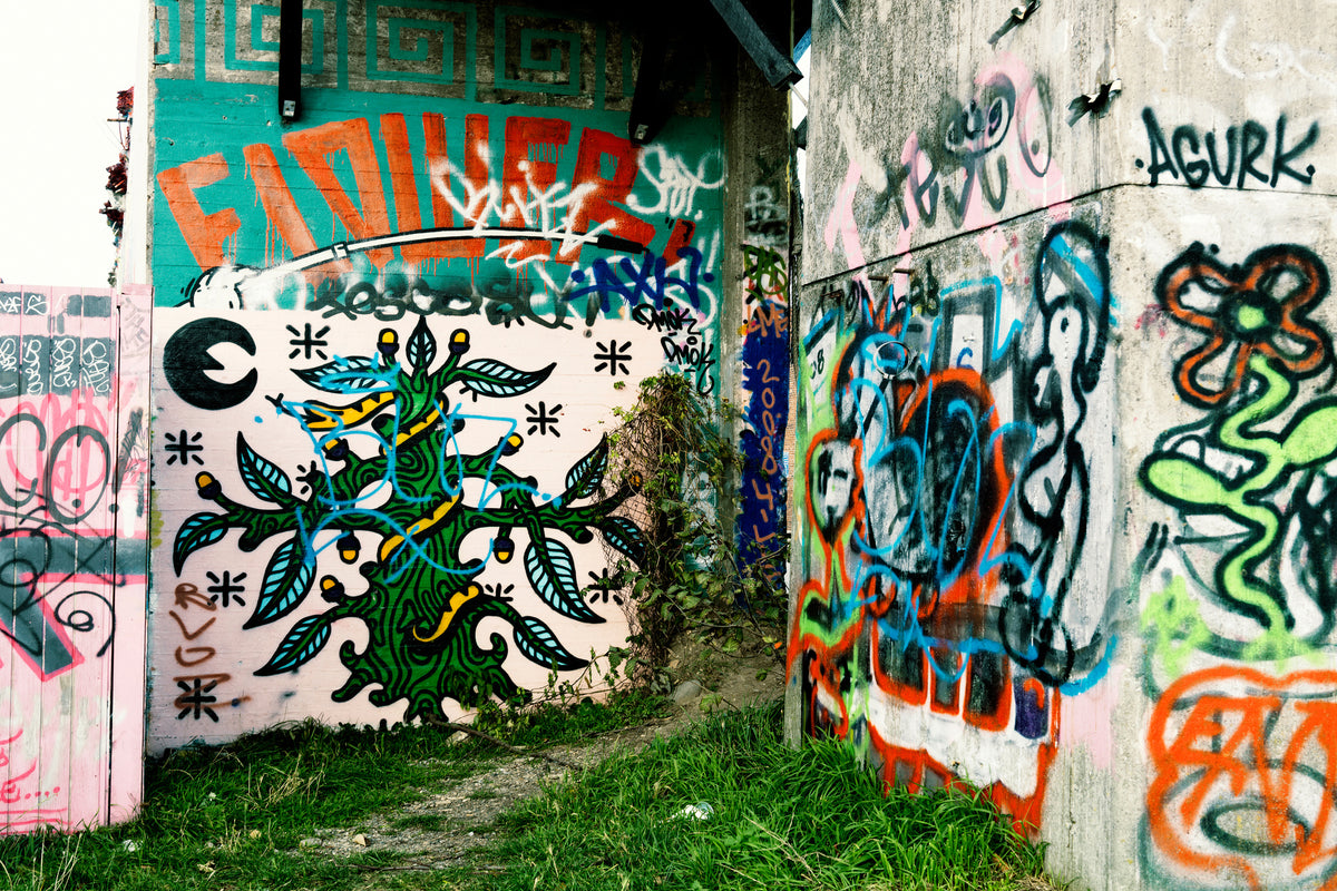 modern-3-piece-aluminium-print-graffiti-in-the-backyard