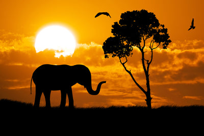poster-print-dreamy-africa