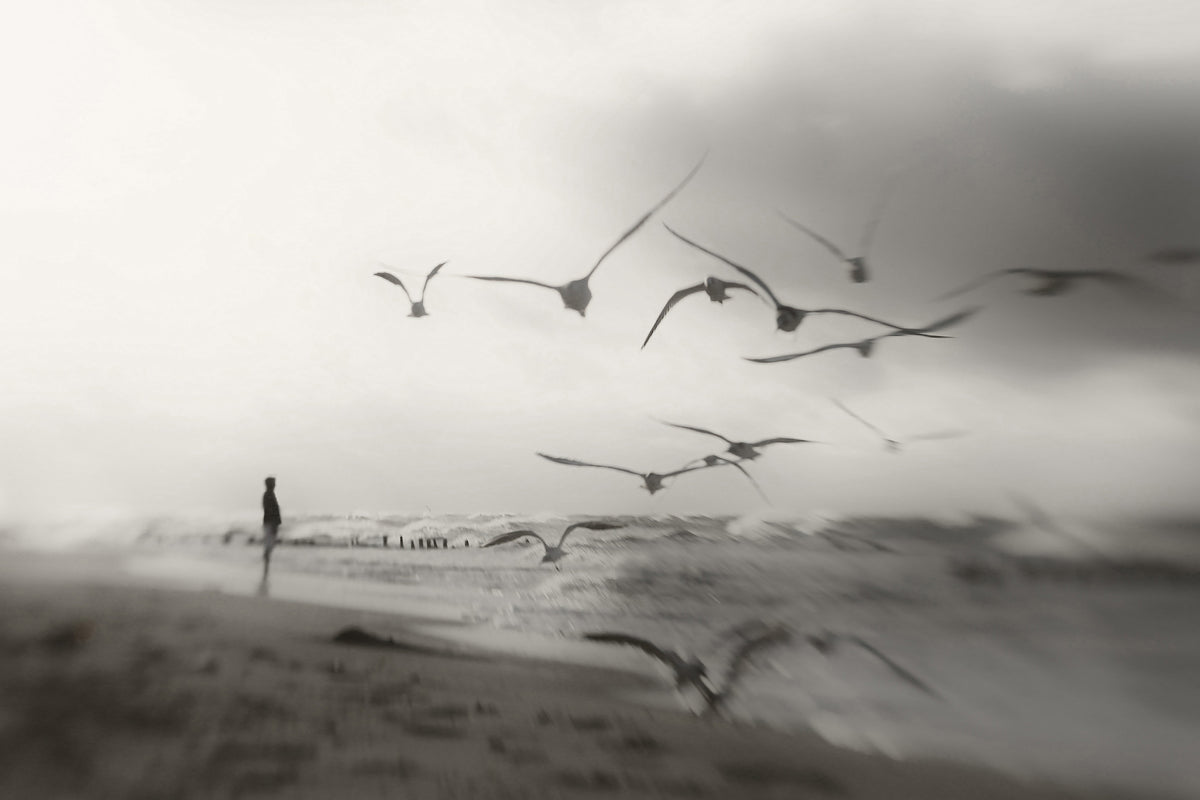 aluminium-print-quiet-dreams-x