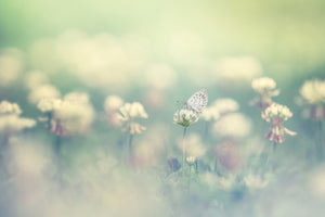 poster-print-small-world-x
