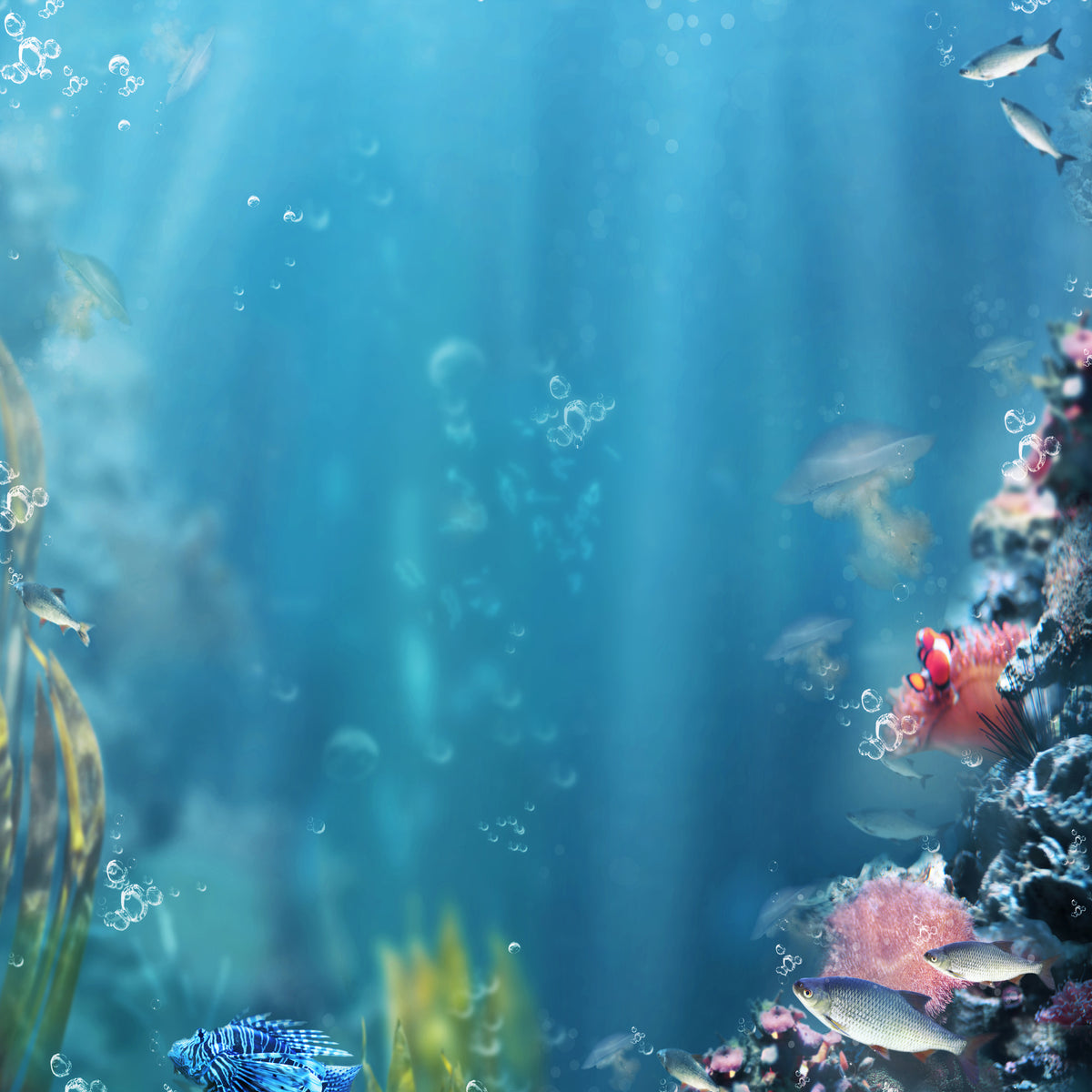 canvas-print-underwater