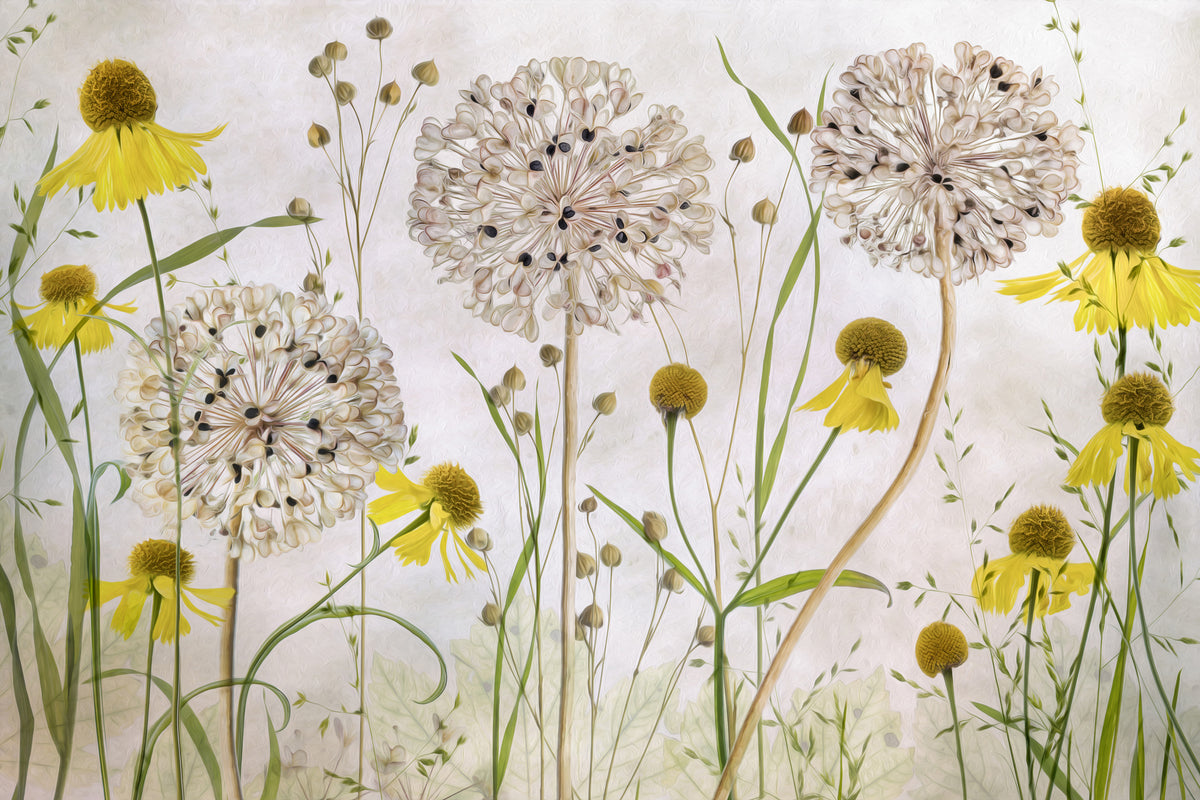 3-piece-canvas-print-alliums-and-heleniums