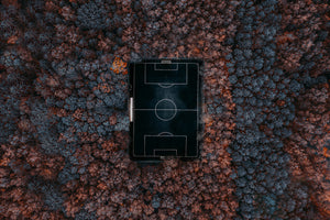poster-print-playing-in-the-forest-x