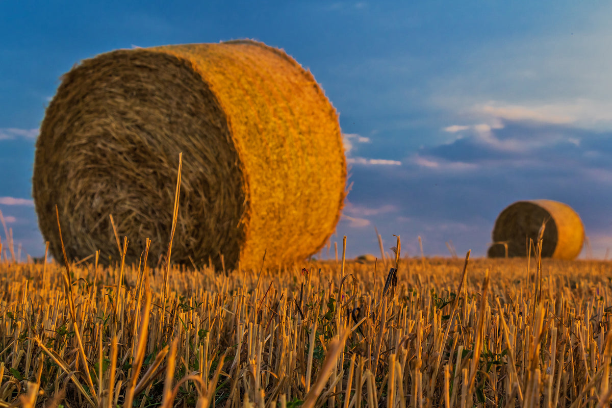 3-piece-canvas-print-straw-bales