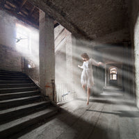 aluminium-print-let-the-life-flow-in