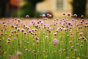 3-piece-aluminium-print-a-meadow-full-of-flowers