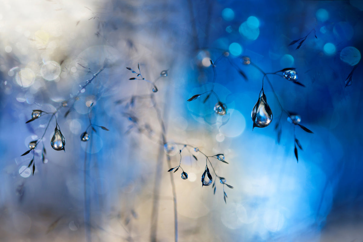 3-piece-aluminium-print-blue-rain