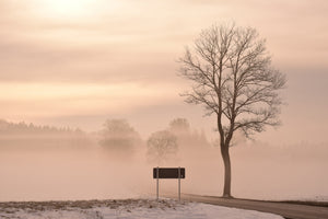 acrylic-print-mystic-mood-in-nature