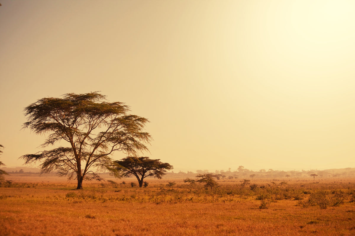modern-3-piece-canvas-print-pastures-in-kenya