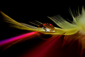 poster-print-colors-in-the-drop-x