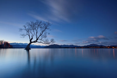poster-print-wanaka-twilight