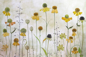 acrylic-print-helenium