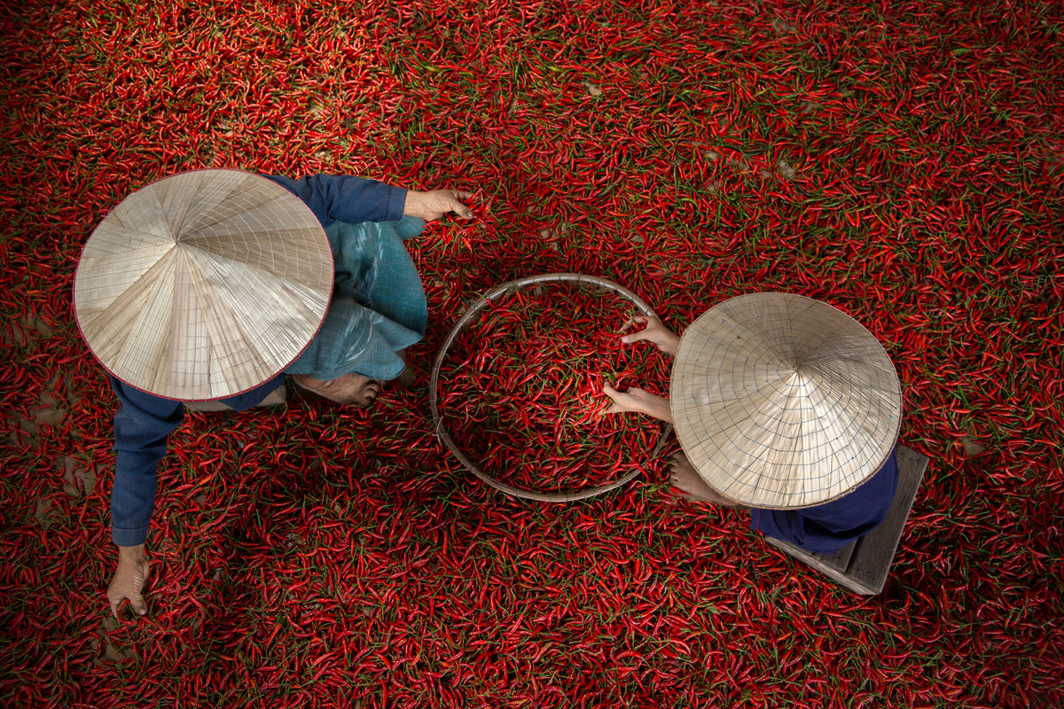framedcanvas-print-chilli