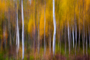 acrylic-print-abstract-fall