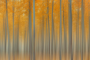 3-piece-acrylic-print-autumn-delight-ii