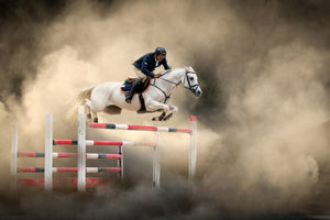 acrylic-print-white-horse-x