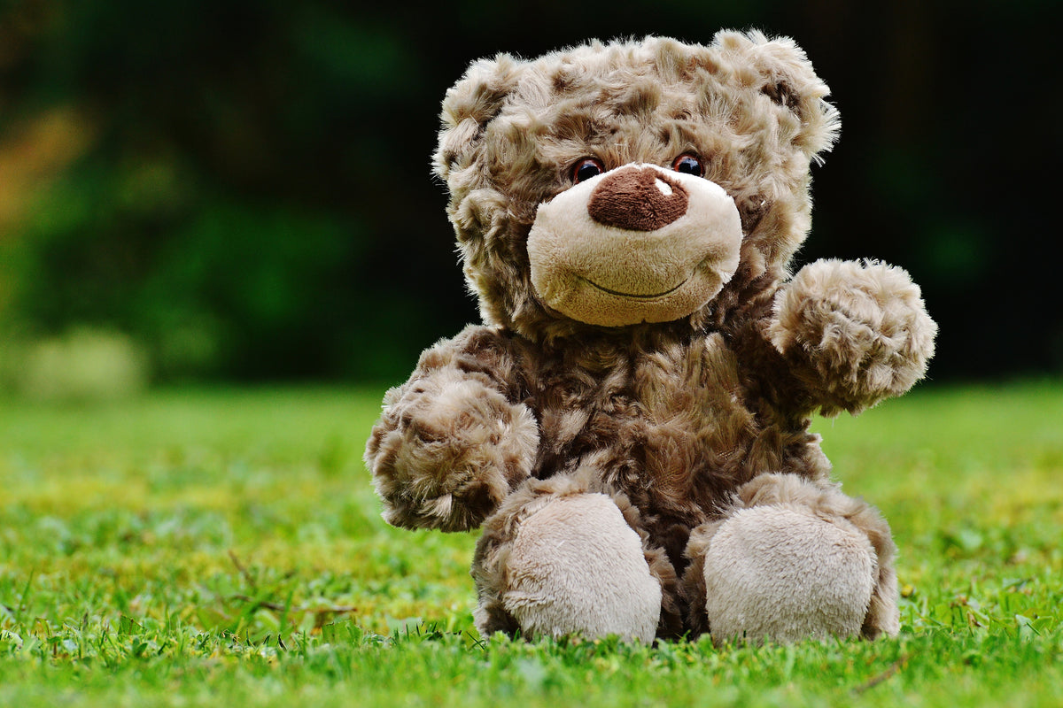 aluminium-print-happy-teddy-bear