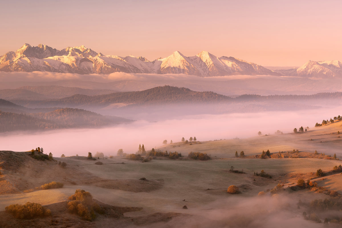 aluminium-print-fog-tatra-x