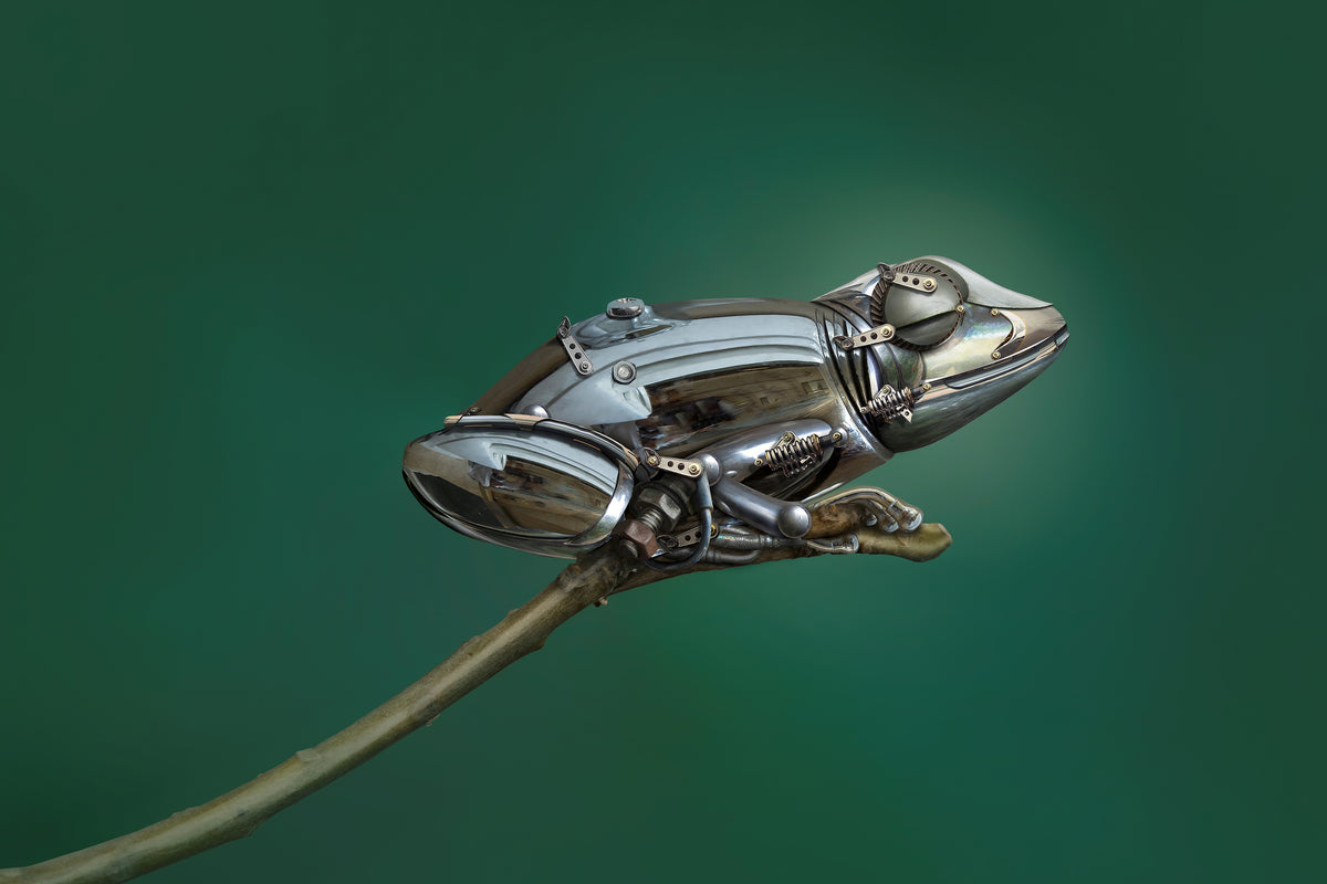 3-piece-aluminium-print-frog