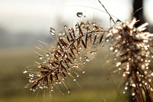3-piece-aluminium-print-drops-of-nature