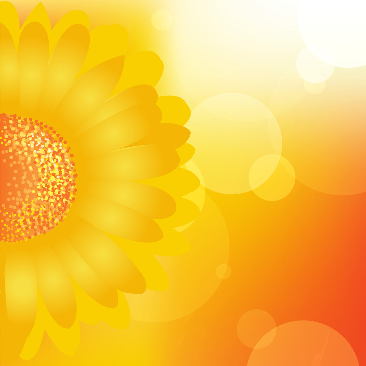 4-piece-aluminium-print-sunflower-power-s