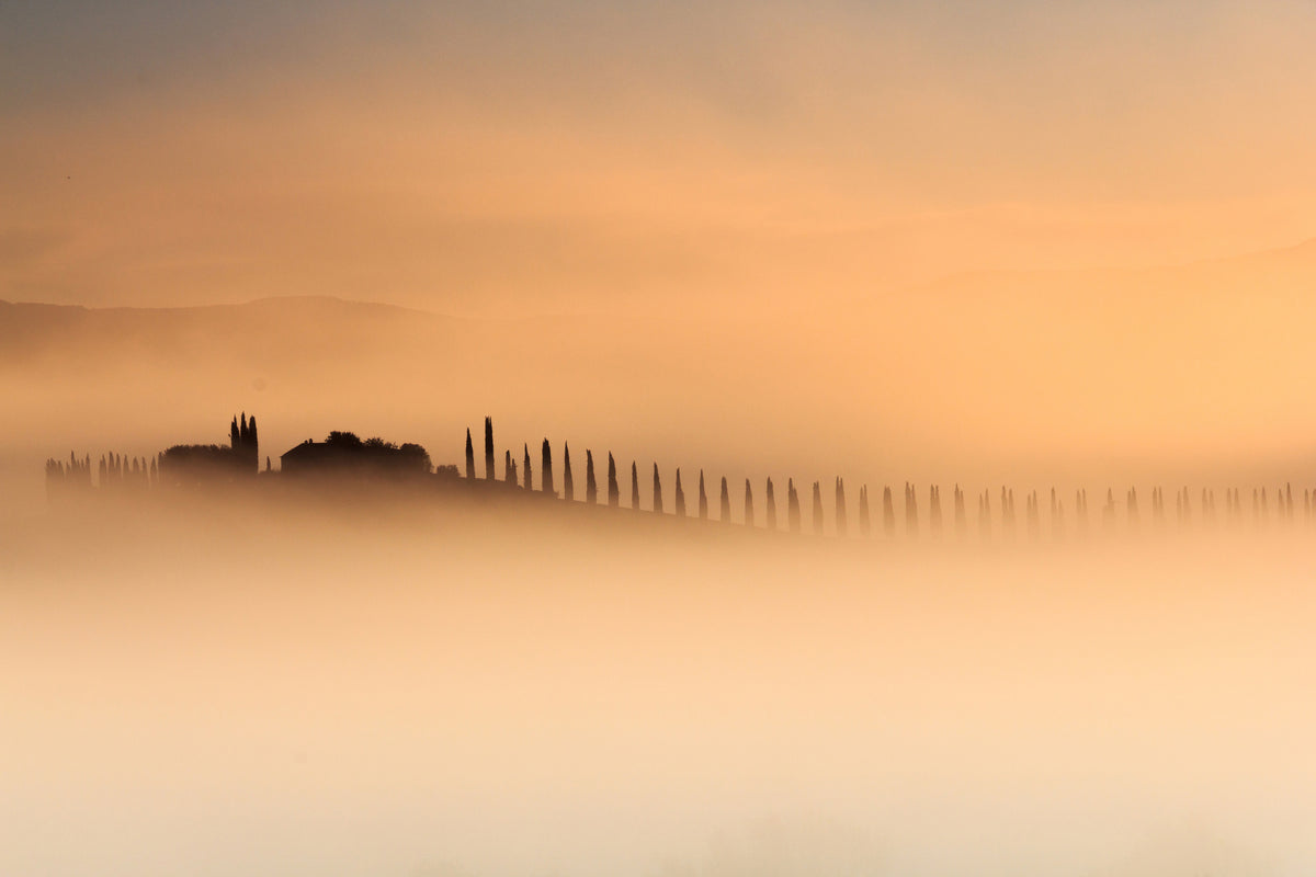 canvas-print-foggy-sunrise-xam