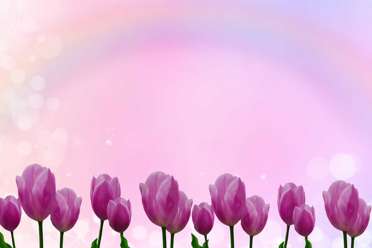 3-piece-acrylic-print-sweet-tulips