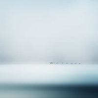 acrylic-print-wild-geese