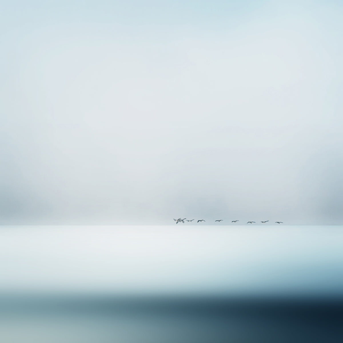 acrylic-print-wild-geese
