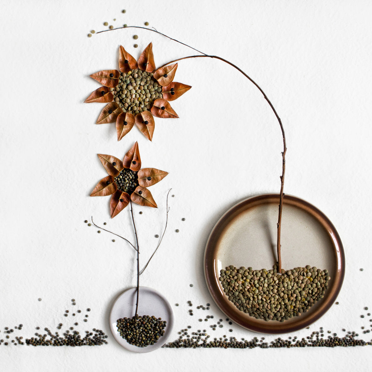 canvas-print-herbarium