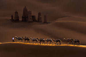 3-piece-aluminium-print-castle-and-camels